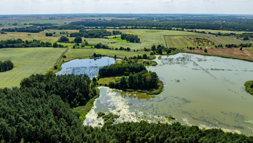 Działka Sprzedaż Binowo