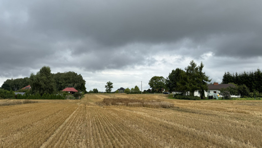 Działka Sprzedaż Kolonia Maszewo