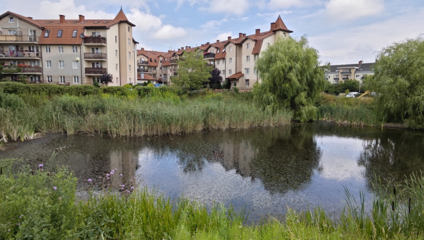 Mieszkanie Sprzedaż Szczecin Warszewo Złotowska