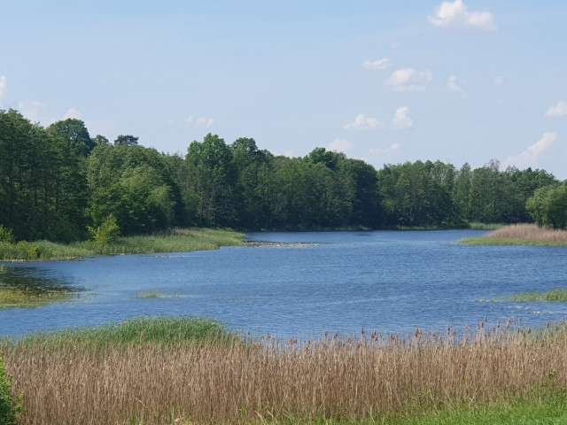 Działka Sprzedaż - Zieleniewo