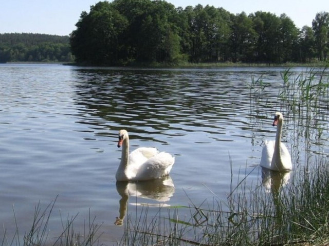 Działka Sprzedaż Zabierzewo