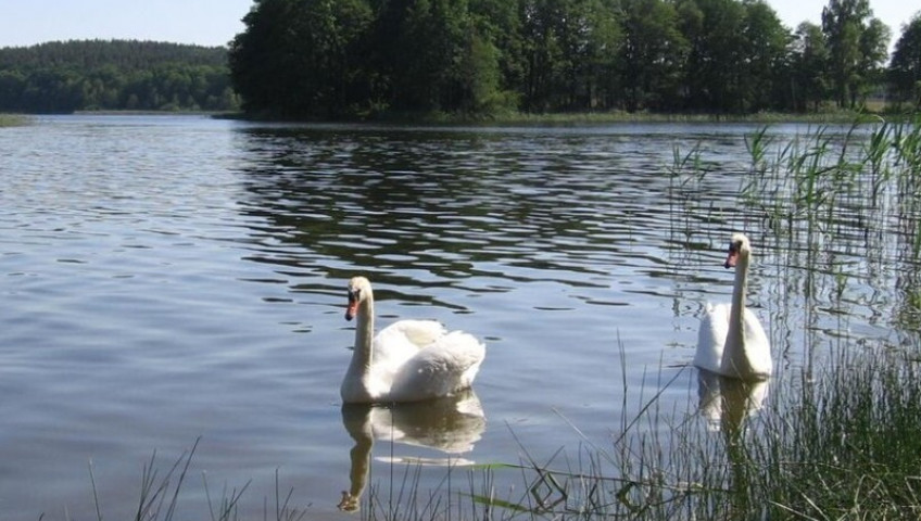 Działka Sprzedaż Zabierzewo