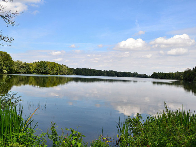 Działka 1,76 ha Poj. Drawskie - z oś. wczasowym