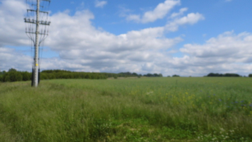 Działka Sprzedaż Olchowo
