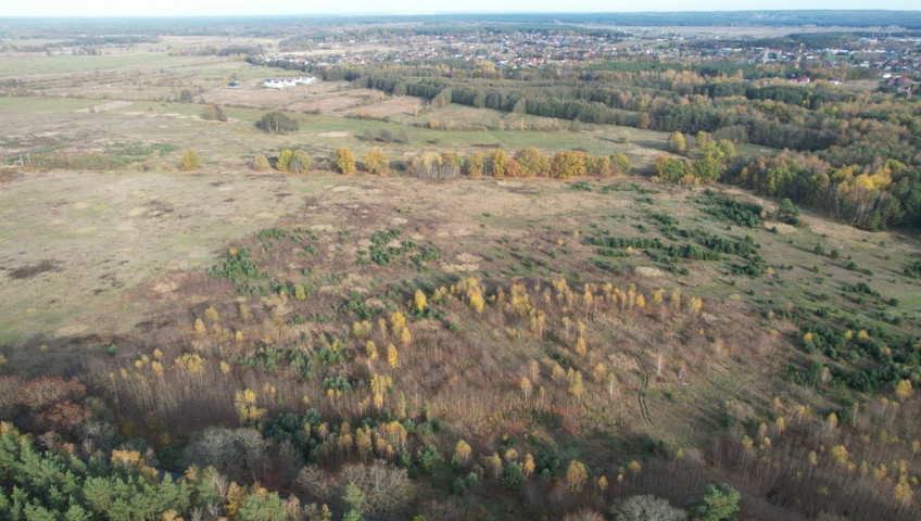 Działka Sprzedaż Buk