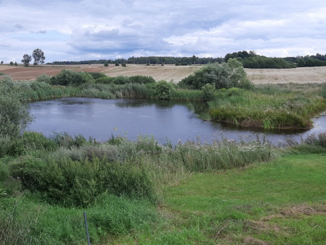 Działka Sprzedaż - Sulikowo