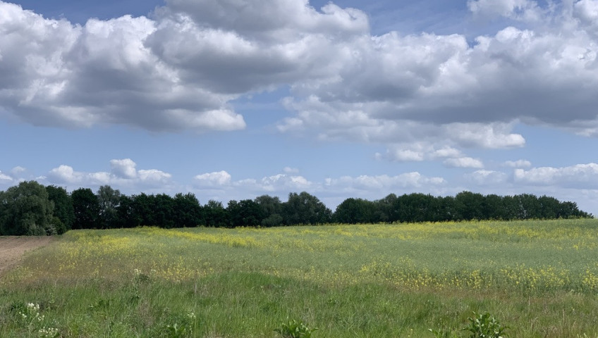 Działka Sprzedaż Stobno