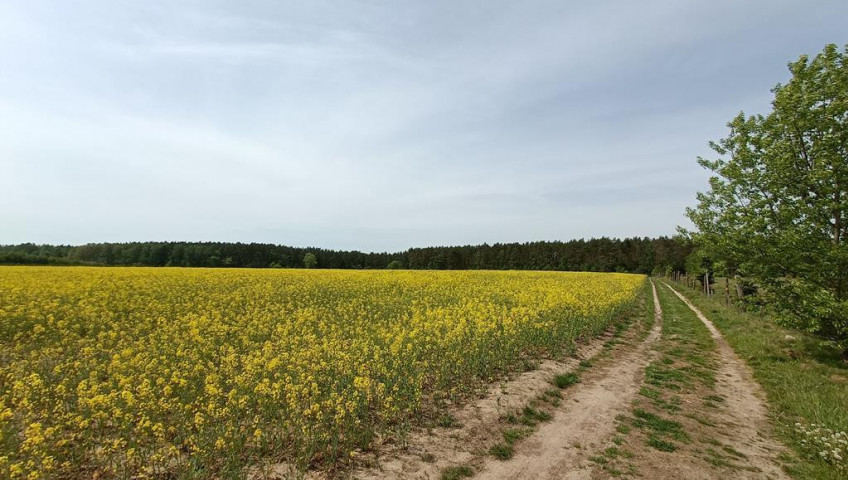 Działka Sprzedaż Stawno