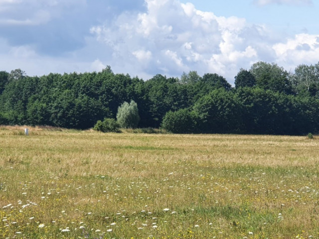 Działka Sprzedaż - Gardno