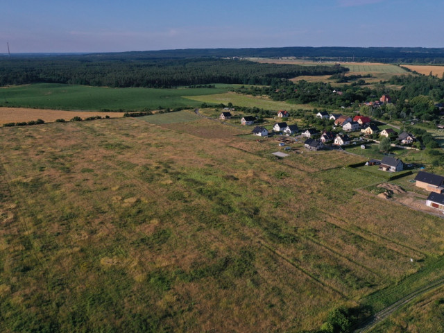 DZIAŁKA Z WIDOKIEM NA PUSZCZĘ BUKOWĄ