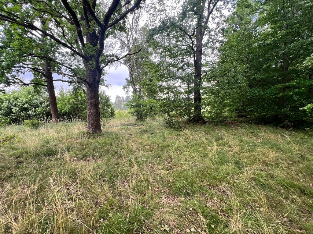 Działka Sprzedaż Storkowo