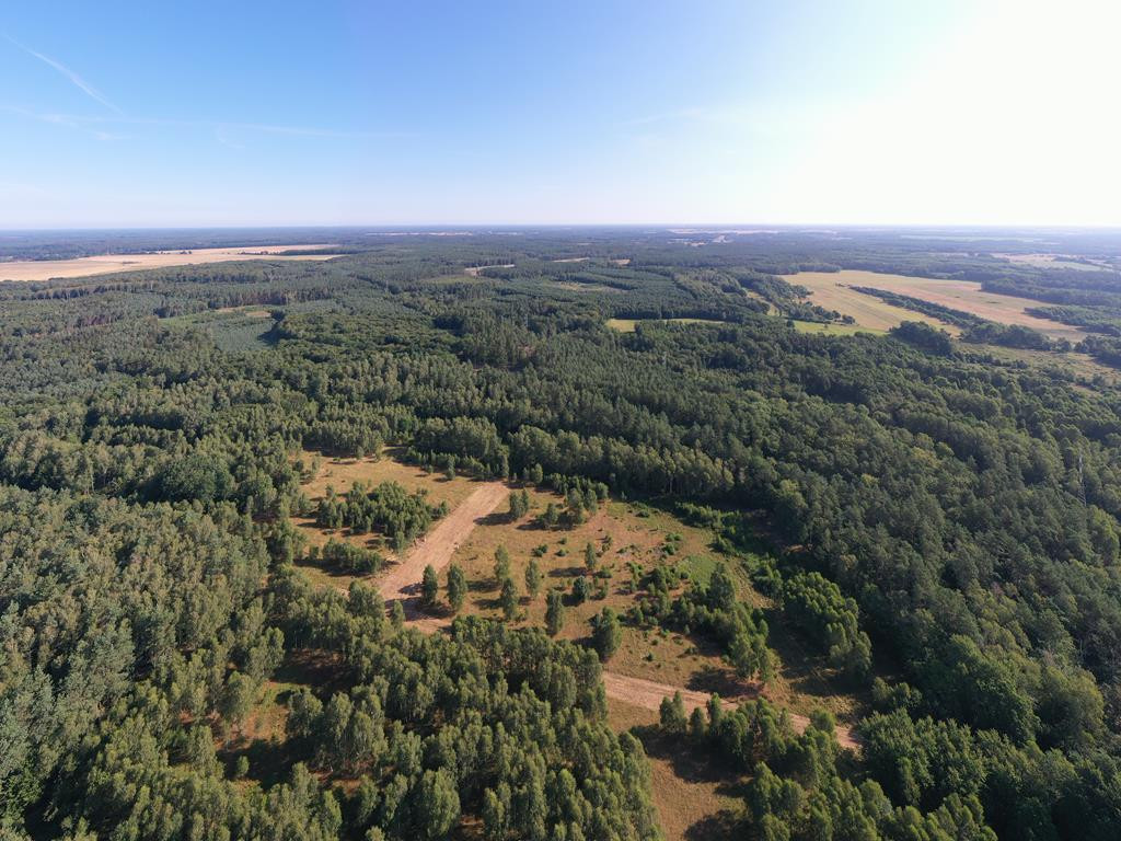 Działka Sprzedaż Osina