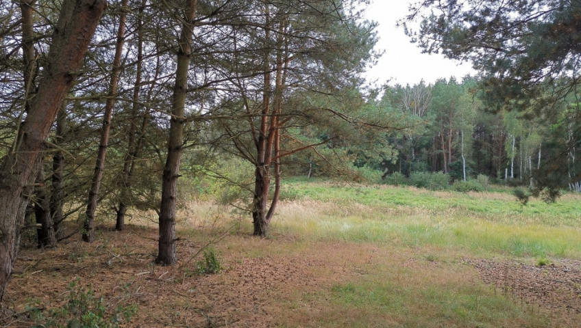 Działka Sprzedaż Szczecin Jezierzyce
