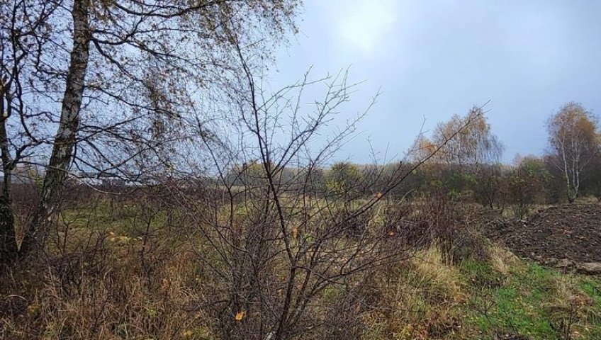 Działka Sprzedaż Szczecin Warszewo