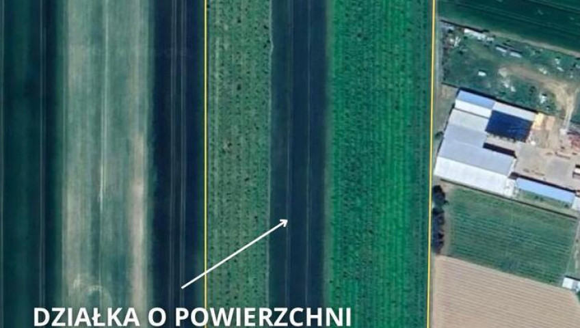 Magazyn Sprzedaż Dobiegniew