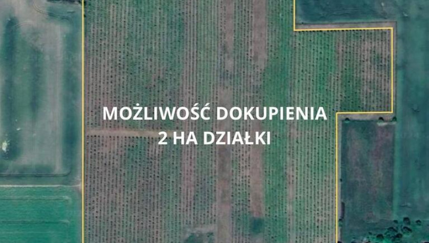 Magazyn Sprzedaż Dobiegniew