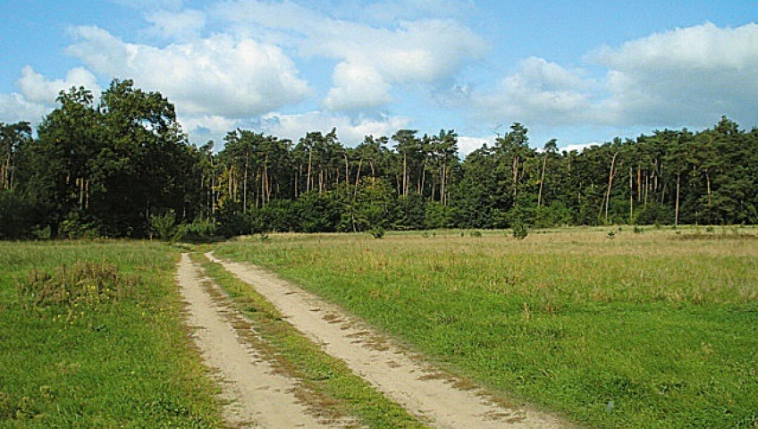 Działka Sprzedaż Kościno