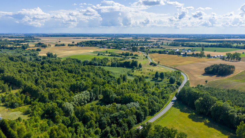 Działka Sprzedaż Grabowo