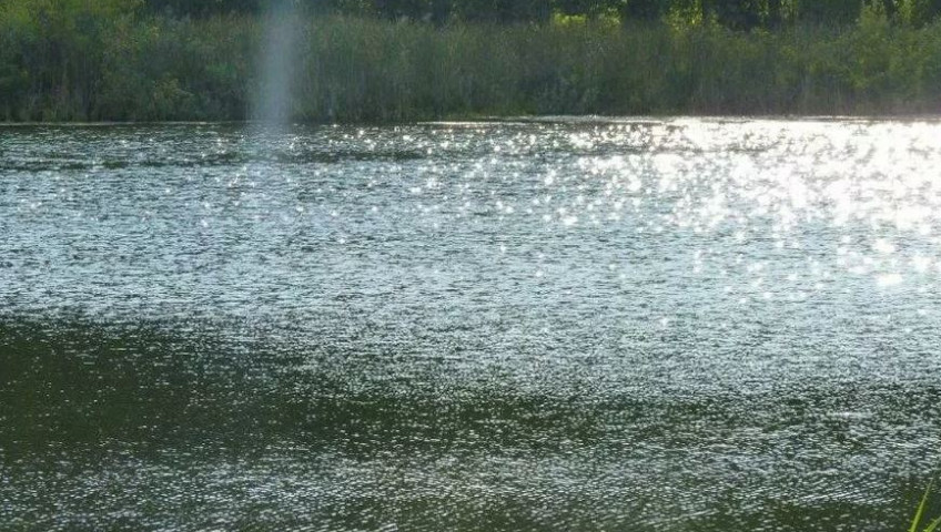 Działka Sprzedaż Zieleniewo