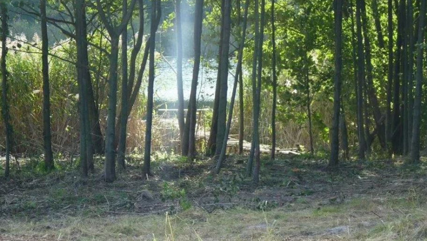 Działka Sprzedaż Zieleniewo