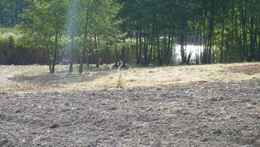 Działka Sprzedaż Zieleniewo