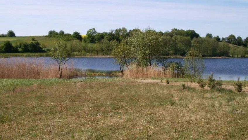 Działka Sprzedaż Zieleniewo