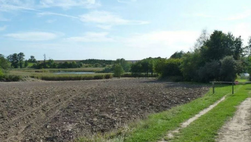 Działka Sprzedaż Zieleniewo