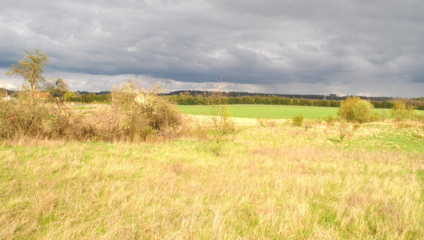 Działka Sprzedaż Binowo
