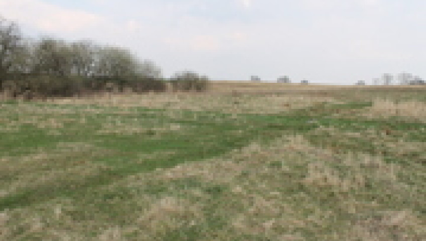 Działka Sprzedaż Barnisław