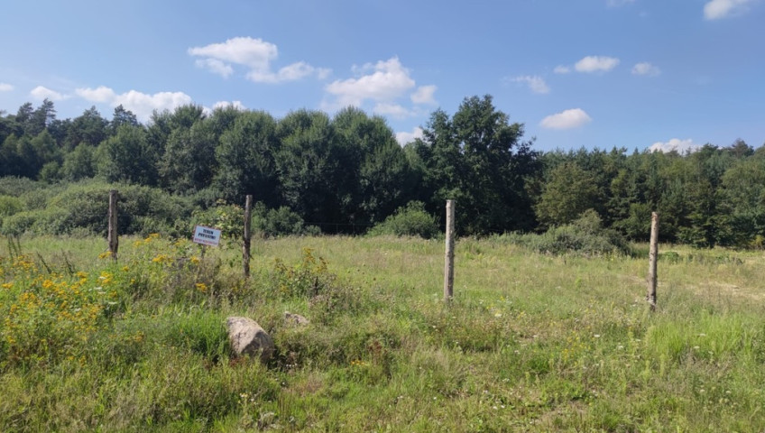 Działka Sprzedaż Kościno