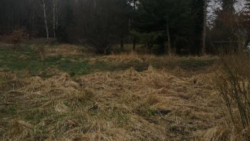 Działka Sprzedaż Stawno