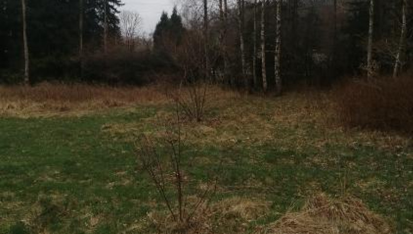 Działka Sprzedaż Stawno