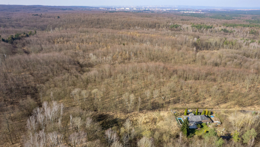 Działka Sprzedaż Szczecin Płonia