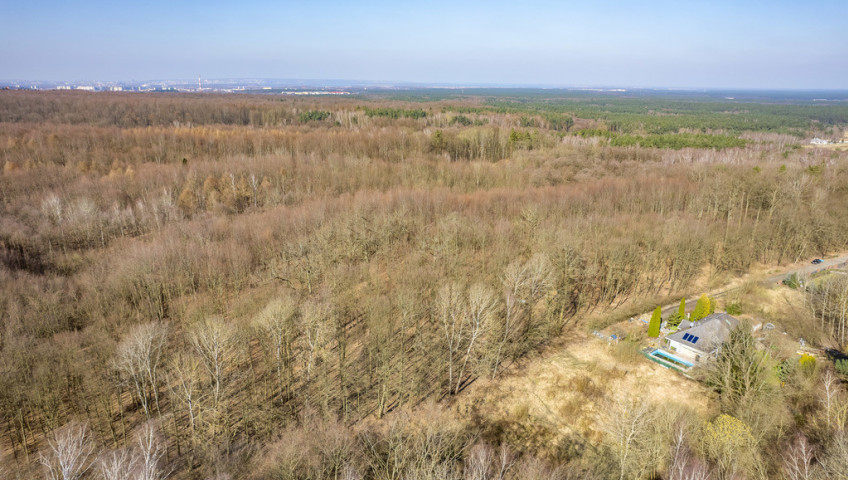 Działka Sprzedaż Szczecin Płonia